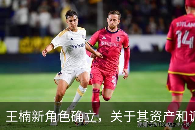 王楠新角色确立，关于其资产和调查的传闻渐明朗